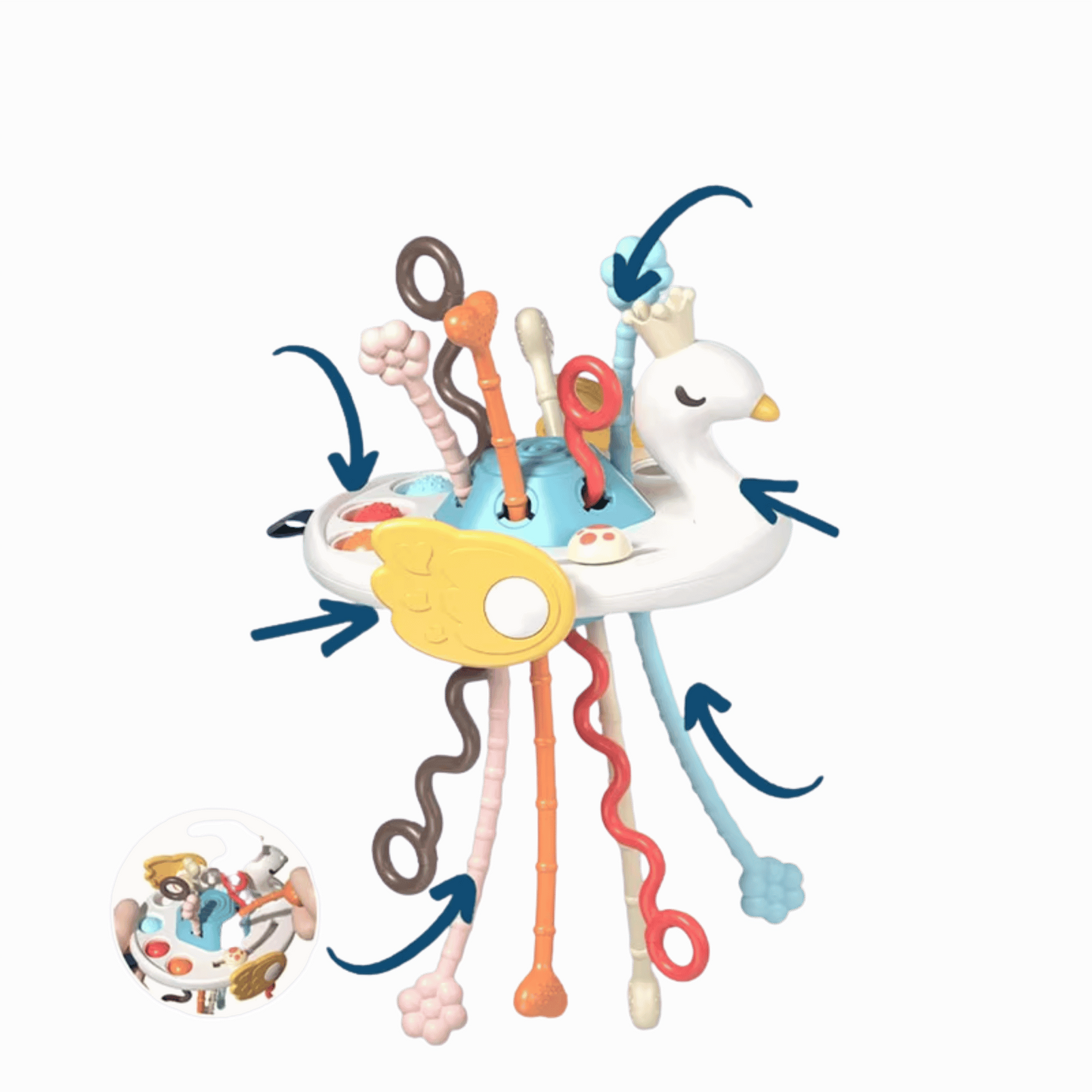 Petit cygne tout moelleux